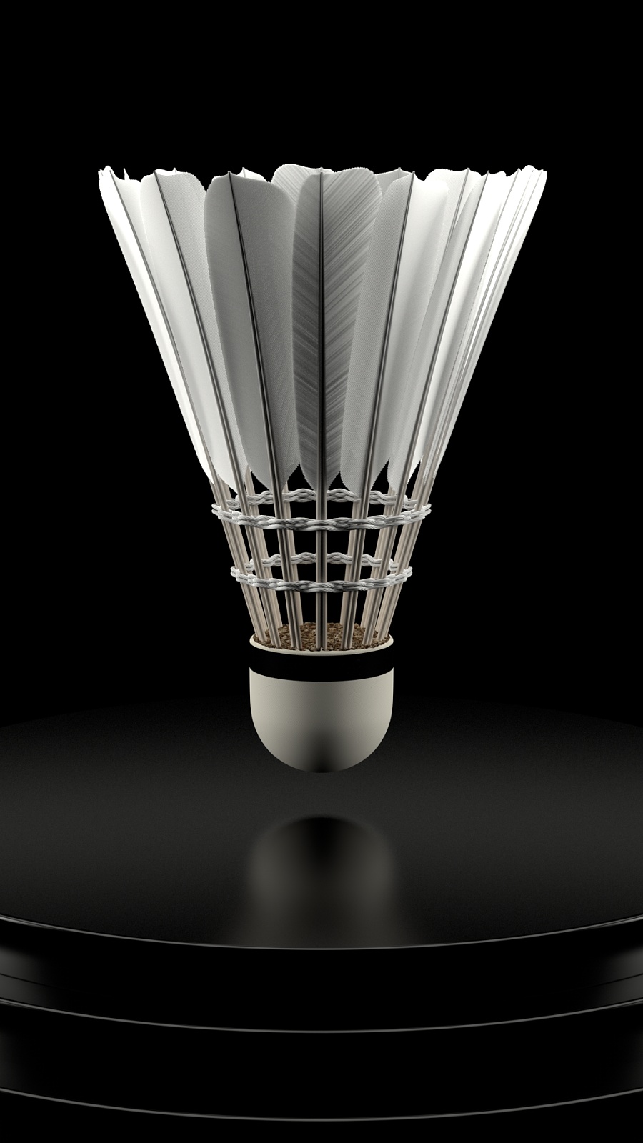 清楚地看到 清楚地看到