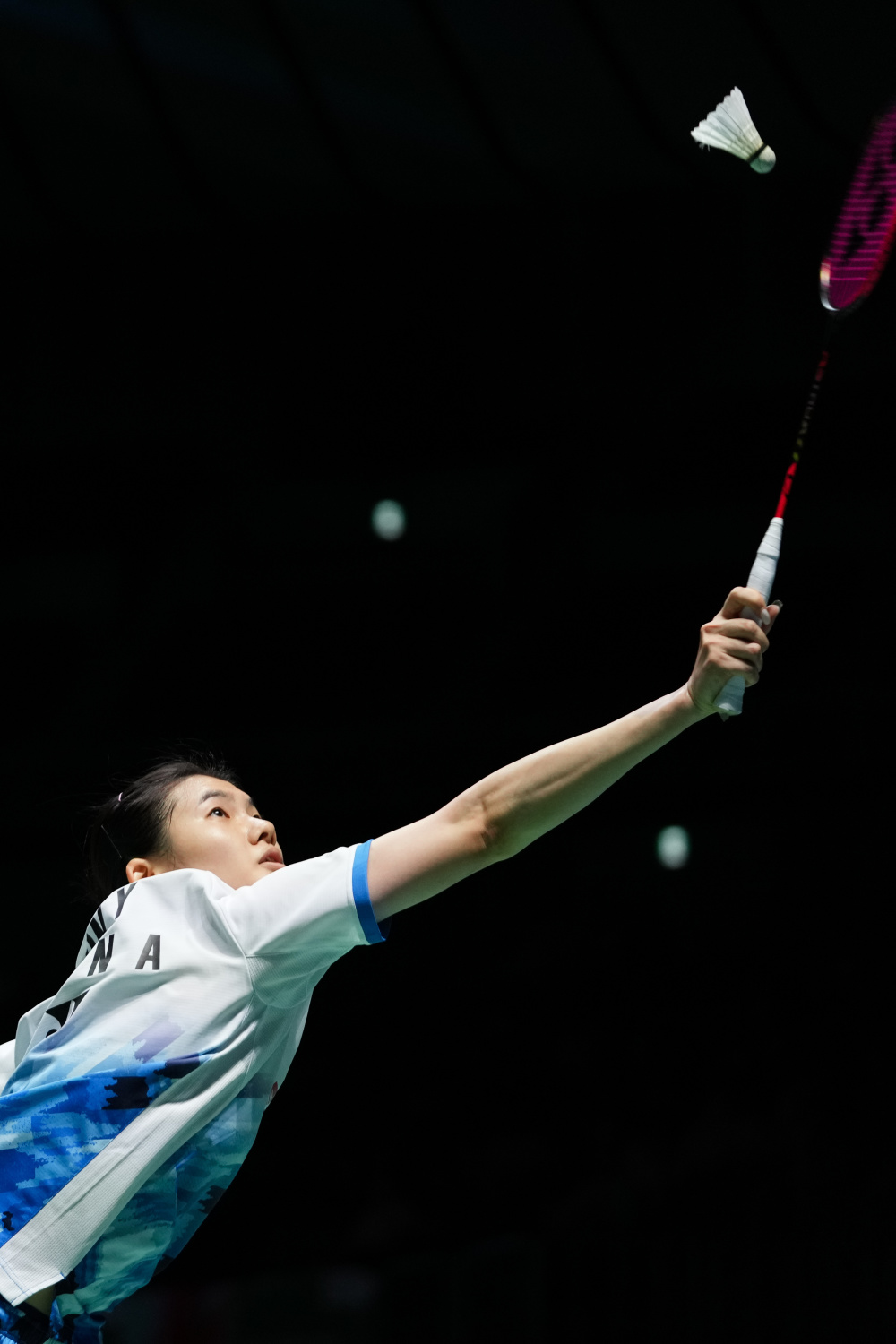 老鹰抓住机 老鹰抓住机